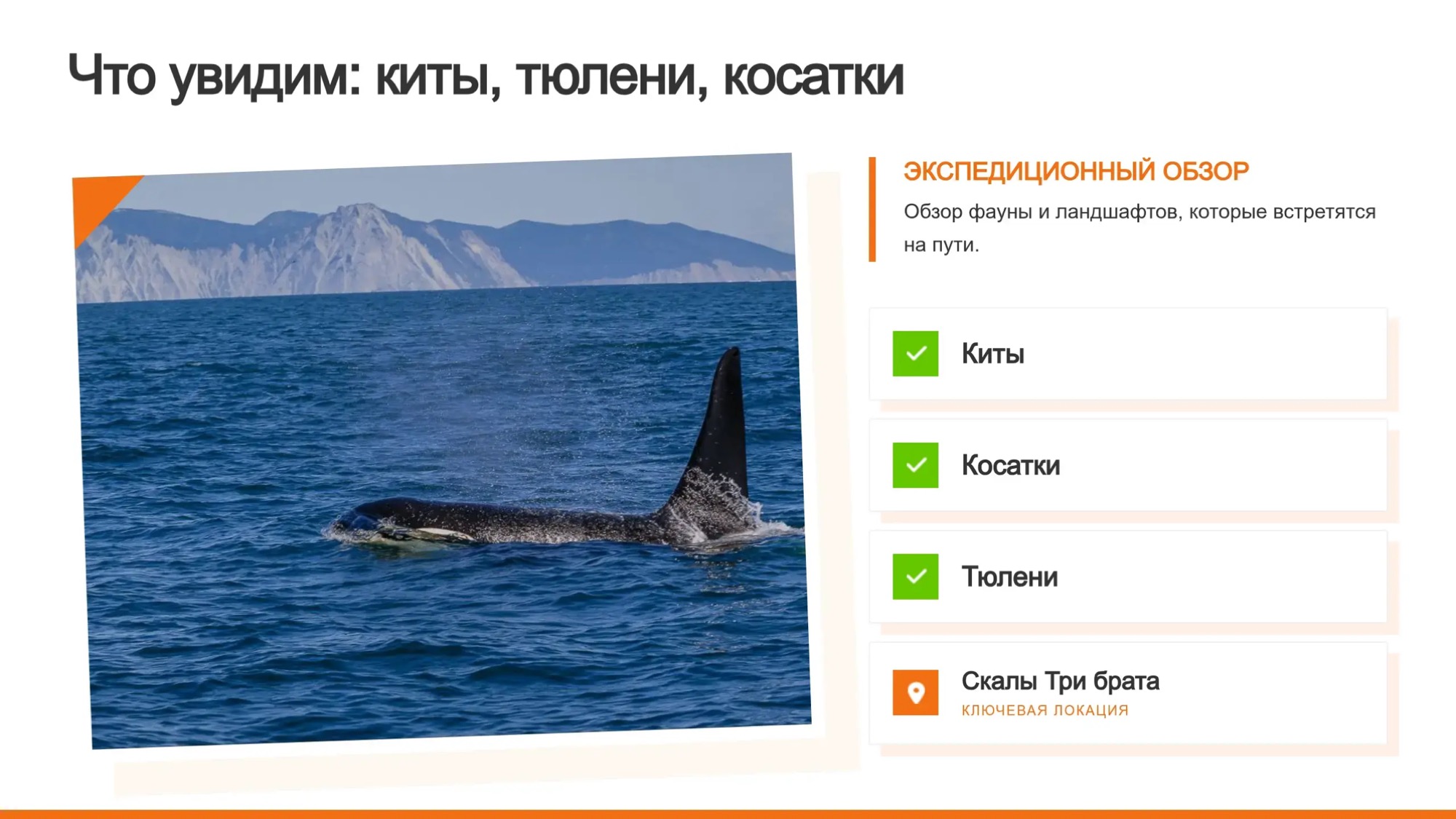  Морская прогулка и экскурсия - Азимут Тур - Крабовое сафари и скалы Три Брата