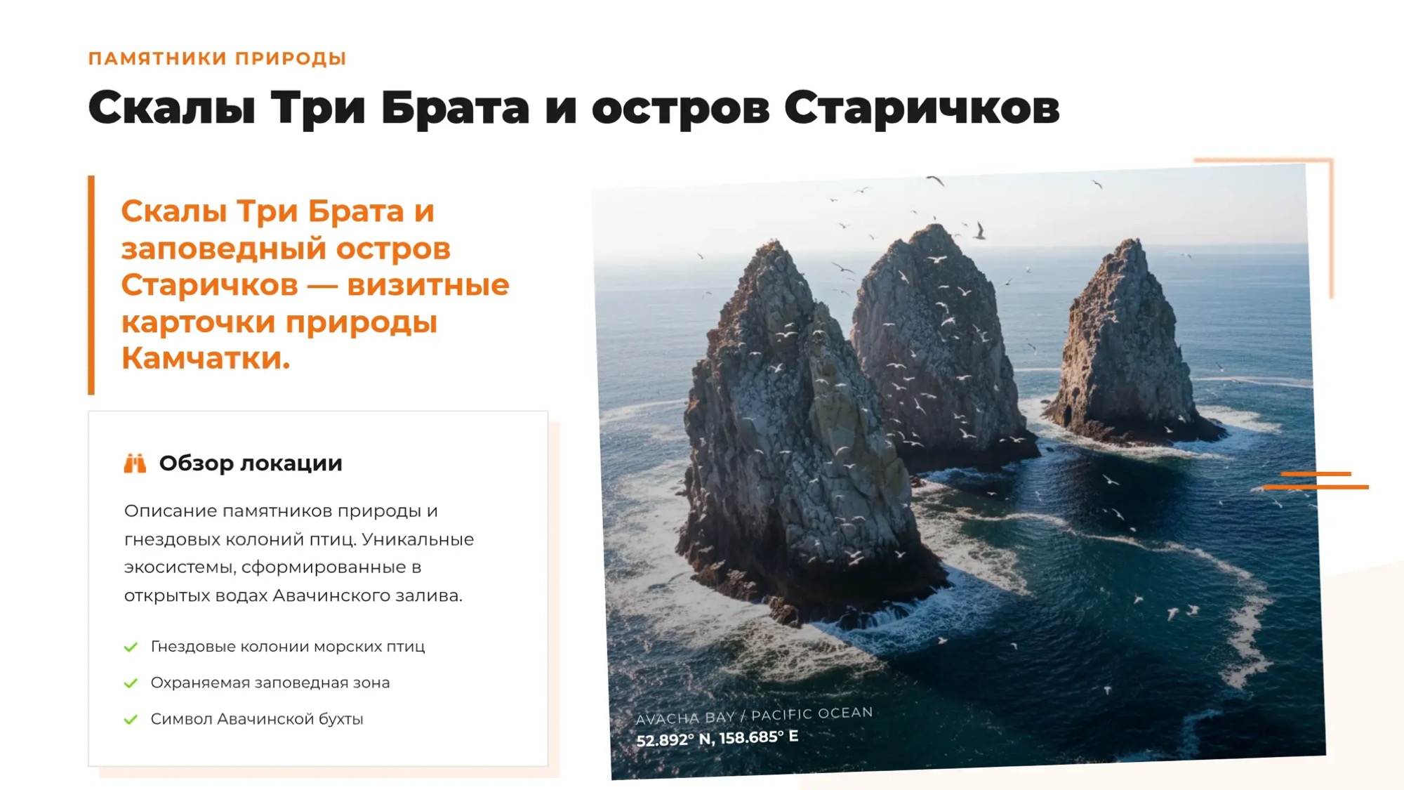 Морская прогулка: бухта Русская за 5 часов. Максимум за минимум - Азимут Тур