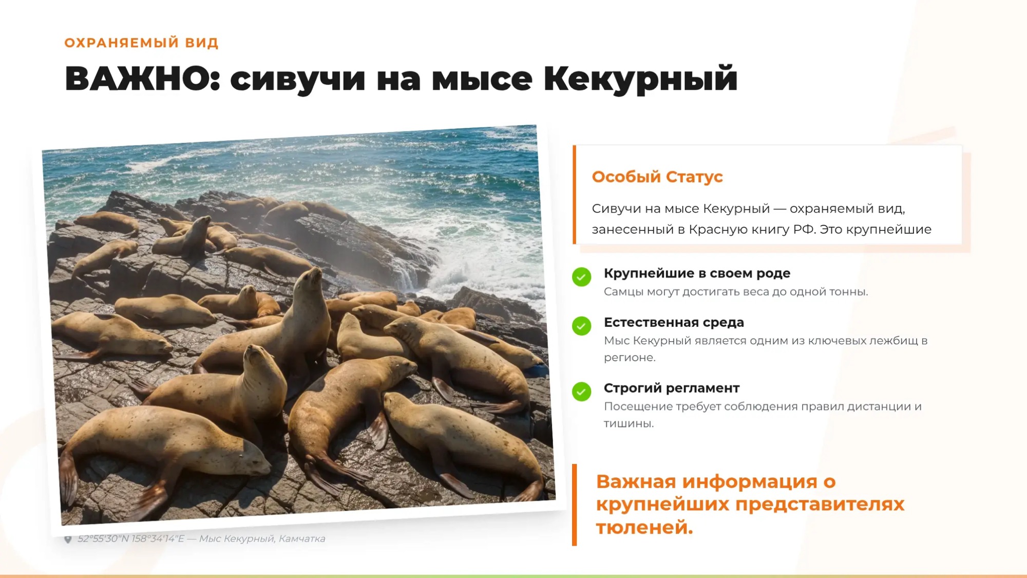 Морская прогулка: бухта Русская за 5 часов. Максимум за минимум - Азимут Тур