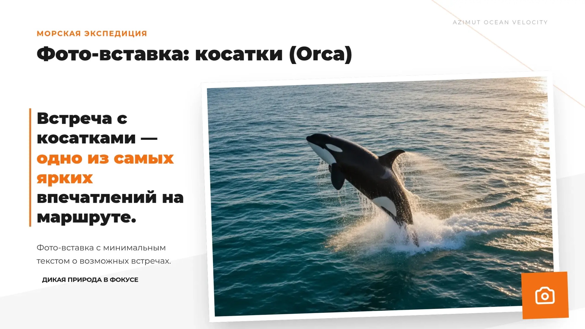 Морская прогулка: бухта Русская за 5 часов. Максимум за минимум - Азимут Тур