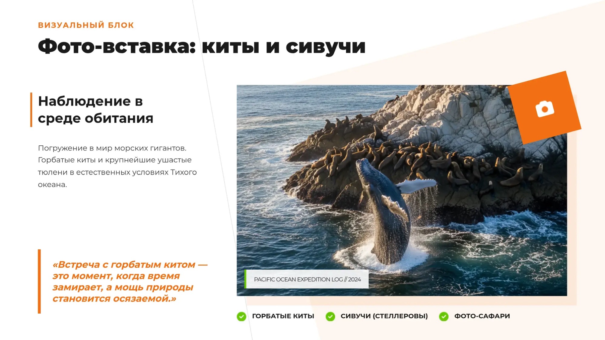 Морская прогулка: бухта Русская за 5 часов. Максимум за минимум - Азимут Тур