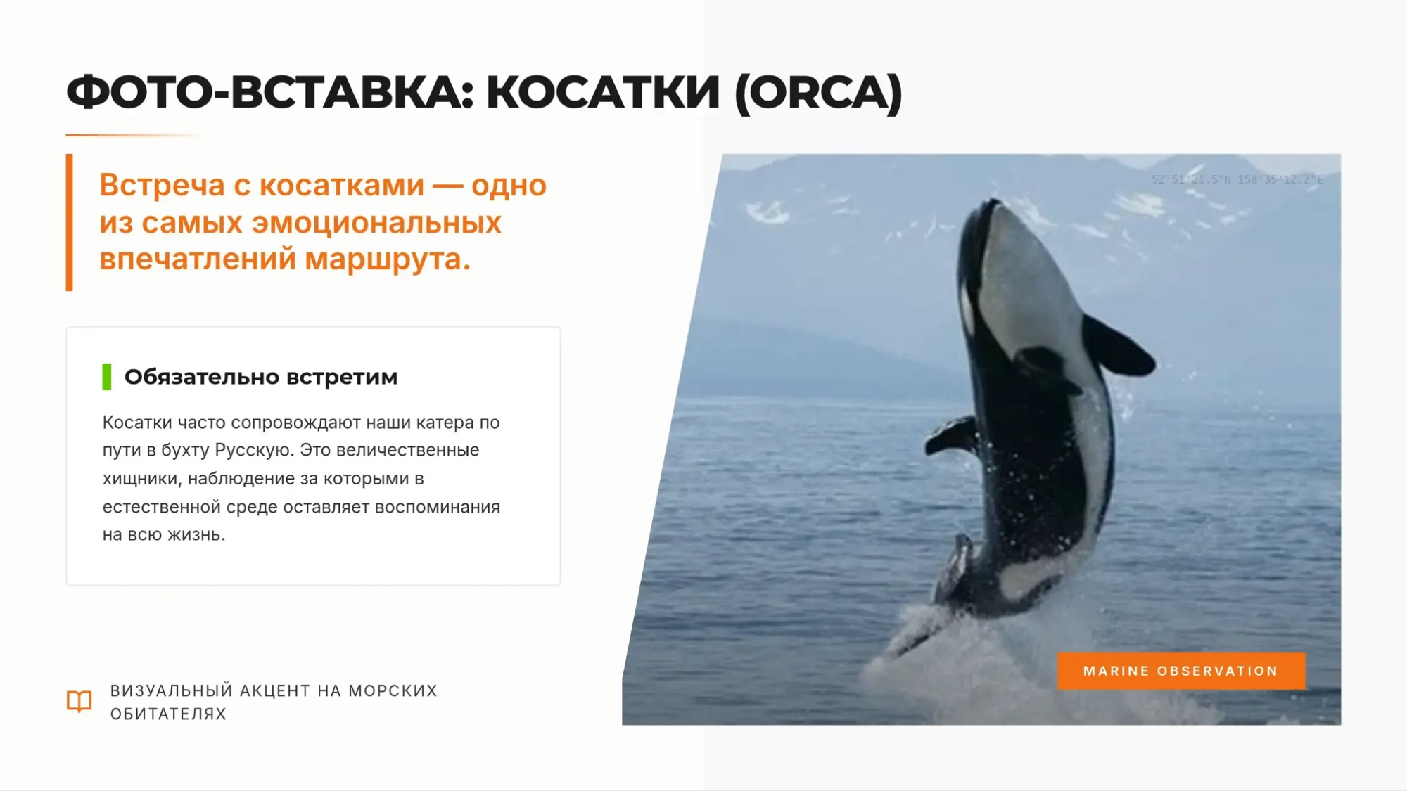 С НОЧЁВКОЙ. Морская прогулка: бухта Русская. Двухдневный круиз с ночевкой в глэмпинге - Азимут Тур