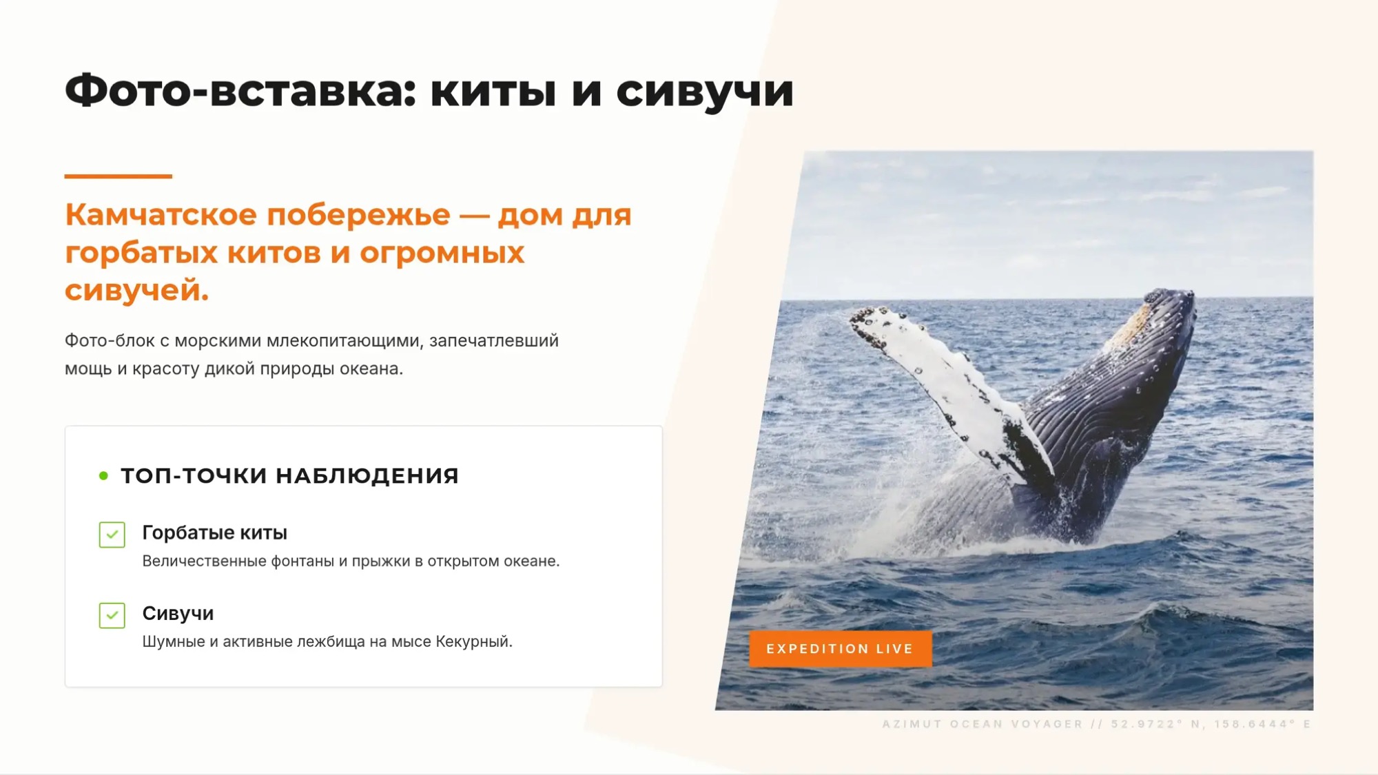 С НОЧЁВКОЙ. Морская прогулка: бухта Русская. Двухдневный круиз с ночевкой в глэмпинге - Азимут Тур
