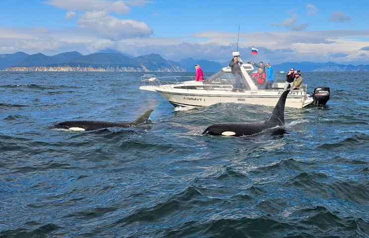 РИМИ - Есть вопрос? Отвечаем!