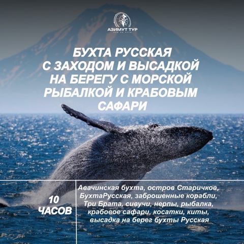 Бухта Русская - киты, касатки, морская экскурсия - Азимут Тур