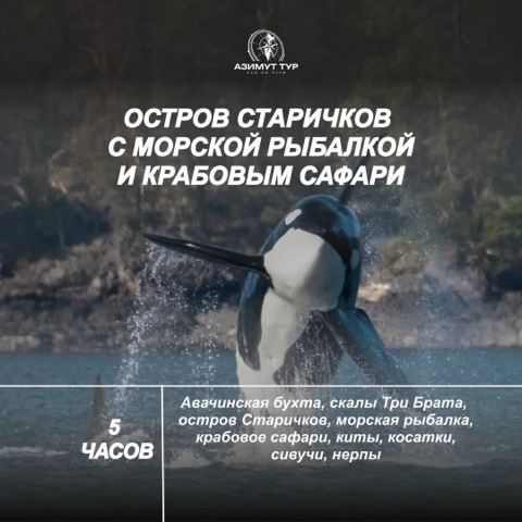 Мосркая экскурсия на Камчатке - Азимут тур - киты, касатки