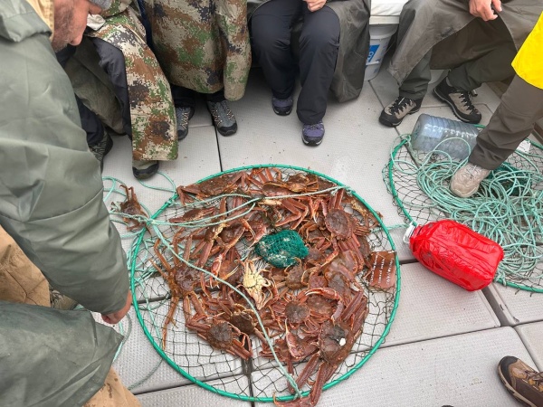 Крабовое Сафари и скалы Три Брата - морские прогулки и экскурсии на Камчатке с Азимут Тур